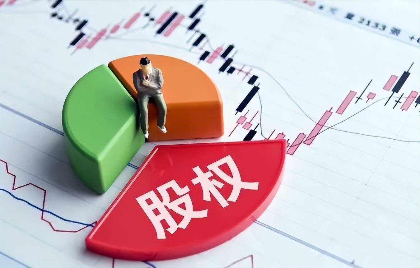 公司股权结构最优化解析和合伙企业架构优劣对比！ (图6)