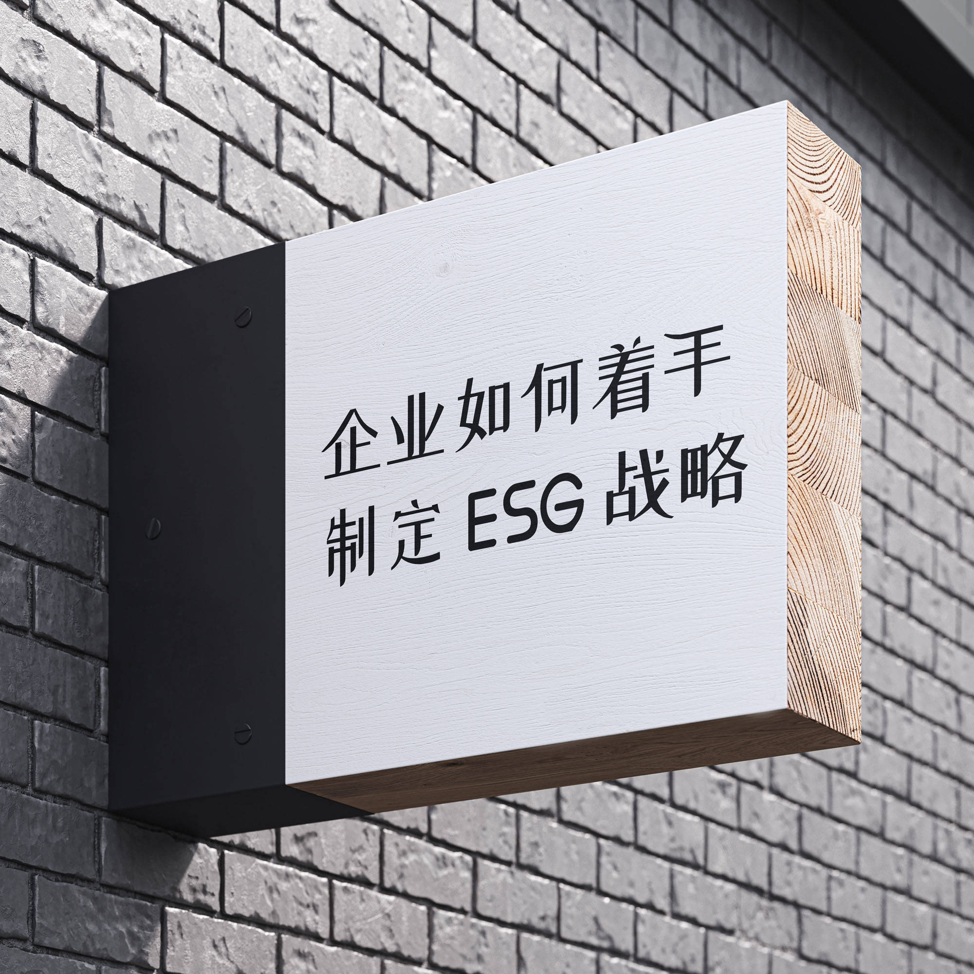 如何着手制定 ESG 战略? (图1) 如何着手制定 ESG 战略? (图1)