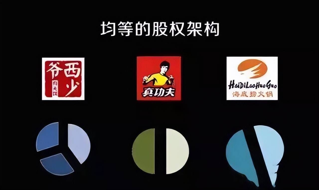 公司股权架构、搭建步骤及其优劣势分析(图3) 公司股权架构、搭建步骤及其优劣势分析(图3)