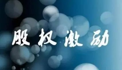 股东是否有类似于表决权的授权?(图1) u=3105304970,3553183967&fm=253&fmt=auto&app=138&f=JPEG.webp.jpg