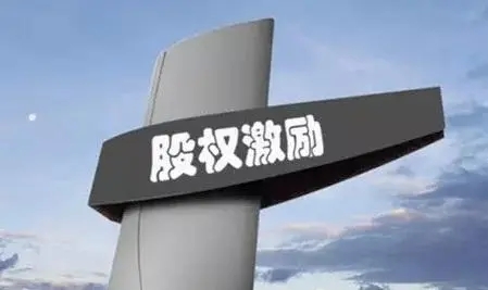 股权激励的实施是否需要高管签署行使转换权协议?(图1) u=1209794146,1373270871&fm=253&fmt=auto&app=138&f=JPEG.webp.jpg
