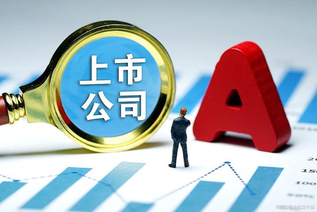 公司上市前原始股如何分配?(图3) 公司上市前原始股如何分配?(图3)