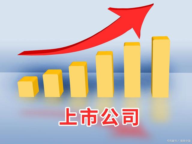 公司上市前原始股如何分配?(图1) 公司上市前原始股如何分配?(图1)
