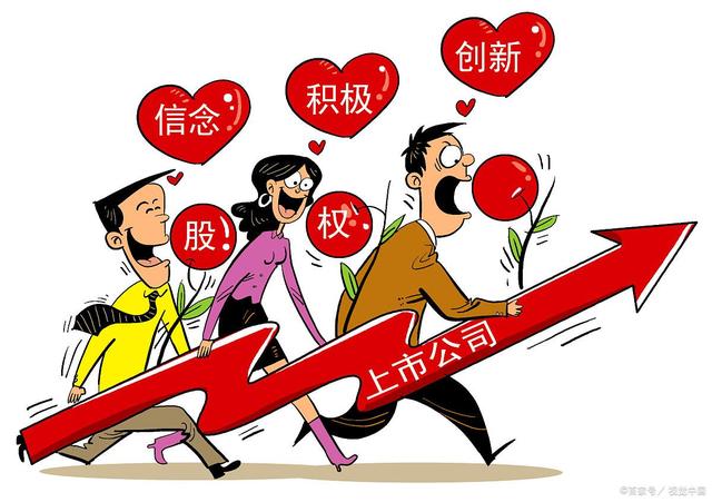 公司上市前原始股如何分配?(图4) 公司上市前原始股如何分配?(图4)